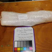          Textile and Tribal Arts Show Rehousing Project picture number 2
