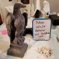          Lead Eagle (facing left) picture number 7
