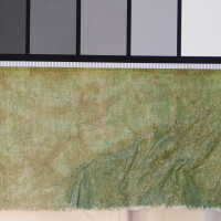          Thai scroll painting #1 picture number 272
