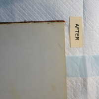          Family Bible picture number 53
