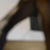          Discus Thrower picture number 43
