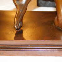          Discus Thrower picture number 44
