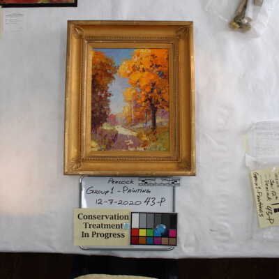 Autumn Study