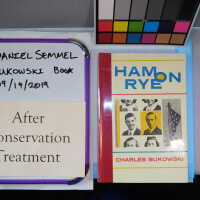          Bukowski Book with Painted Leaflet picture number 22
