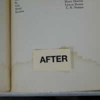          Green Street Books [Boxes: PI1, J2, G2, M1, I2, H1, F2, H2, P2, A2, R1, PA2, S1, PJI, PEE2, D2, K2, PA1, PD2, PL1, PB2, B1, PM1 C1, C2-2, K1, PH2, PL2, L1, Q1, PCC1, B2, G1, PEE1, PB1, PM2] picture number 232
