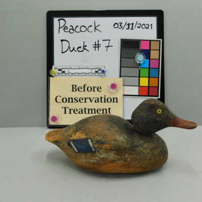 Wooden Duck