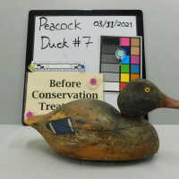          Wooden Duck picture number 3
