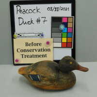          Wooden Duck picture number 4
