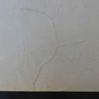          Japanese Screen picture number 89
