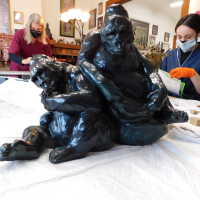          Pair of Gorillas picture number 25

