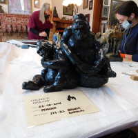          Pair of Gorillas picture number 26

