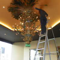          Golden Room picture number 431
