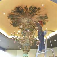         Golden Room picture number 435
