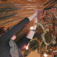          Golden Room picture number 439
