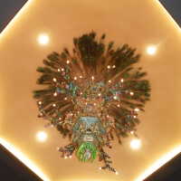          Golden Room picture number 443
