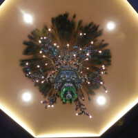          Golden Room picture number 446

