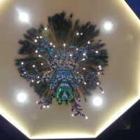          Golden Room picture number 448
