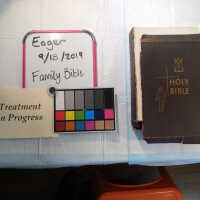          Family Bible picture number 81
