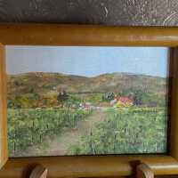 Vineyard and mountains landscape