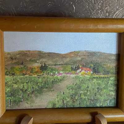 Vineyard and mountains landscape