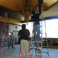          Golden Room picture number 315
