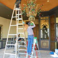          Golden Room picture number 319
