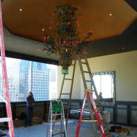          Golden Room picture number 323
