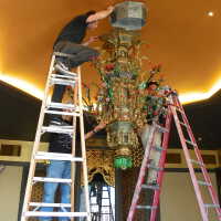          Golden Room picture number 326
