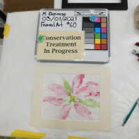          Pink flower picture number 9
