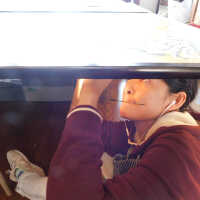          Japanese Screen picture number 44
