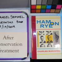          Bukowski Book with Painted Leaflet picture number 32
