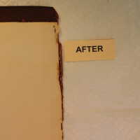          Family Bible picture number 41
