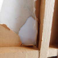          Japanese Screen picture number 16

