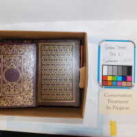          Green Street Books [Boxes: PI1, J2, G2, M1, I2, H1, F2, H2, P2, A2, R1, PA2, S1, PJI, PEE2, D2, K2, PA1, PD2, PL1, PB2, B1, PM1 C1, C2-2, K1, PH2, PL2, L1, Q1, PCC1, B2, G1, PEE1, PB1, PM2] picture number 398
