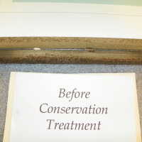 Tree Illustration - Image 2