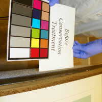 Tree Illustration - Image 4