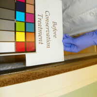 Tree Illustration - Image 5