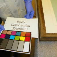 Tree Illustration - Image 6