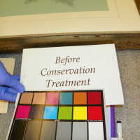 Tree Illustration - Image 7