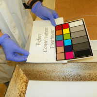 Tree Illustration - Image 10