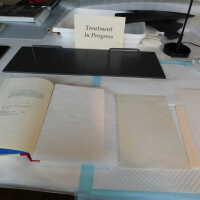          Bukowski Book with Painted Leaflet picture number 9
