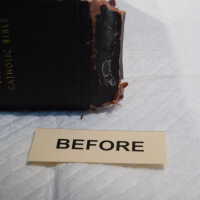          Family Bible picture number 24
