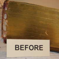          Family Bible picture number 33
