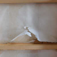          Japanese Screen picture number 116
