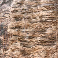          Drapery picture number 21
