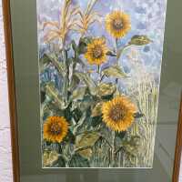 Sunflowers and corn
