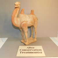          Camel picture number 114
