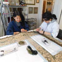          Wen picture number 36
