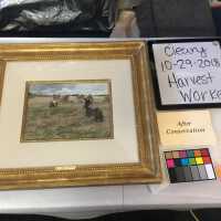          Harvest workers picture number 3
