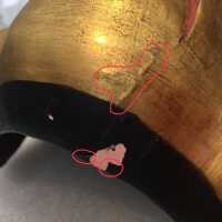          Forehead top right; Losses and areas to consolidate
